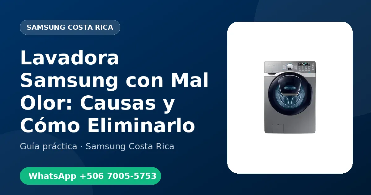 Lavadora Samsung con Mal Olor: Causas y Cómo Eliminarlo